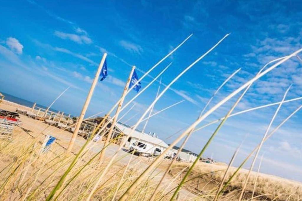 Piet'S Beachhouse 滨海卡特韦克 外观 照片
